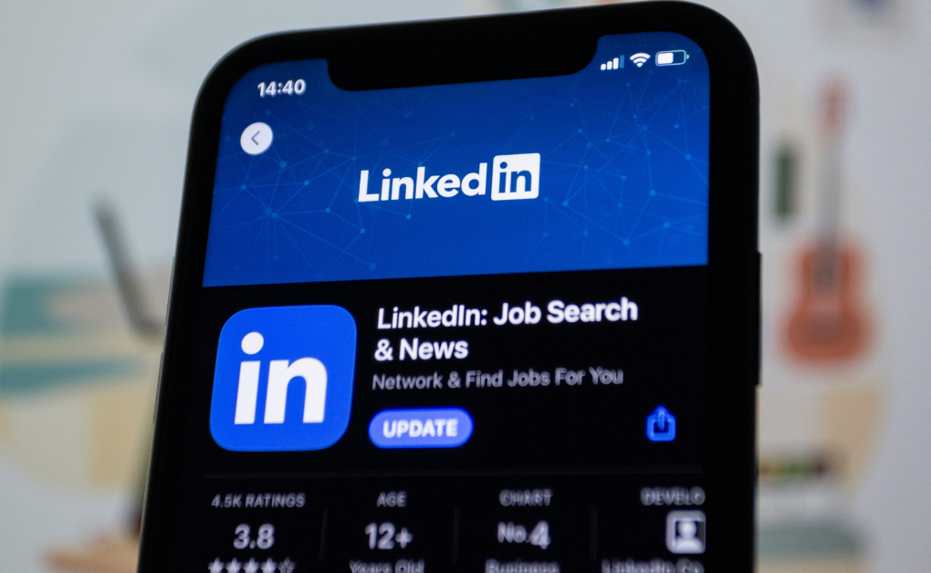 The Linkedin lunatics reddit is based on posts from the Linkedin social network